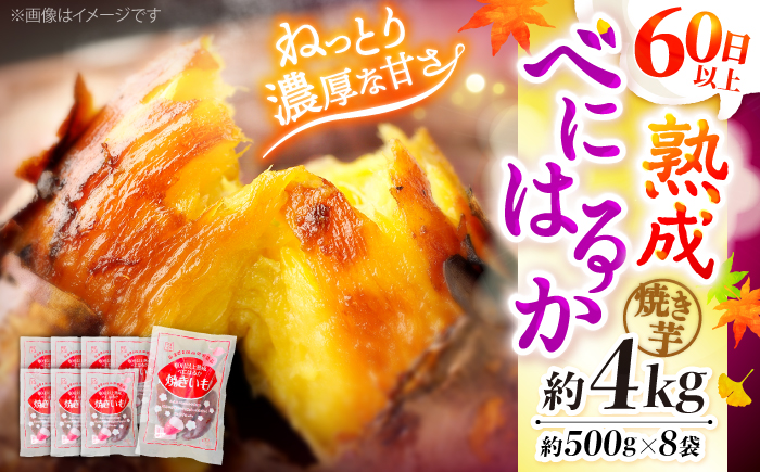 【ねっとりとろける美味しさ】熟成 紅はるか 焼き芋 約4kg（500g×8パック） ＜大地のいのち＞ [CDA013] さつまいも