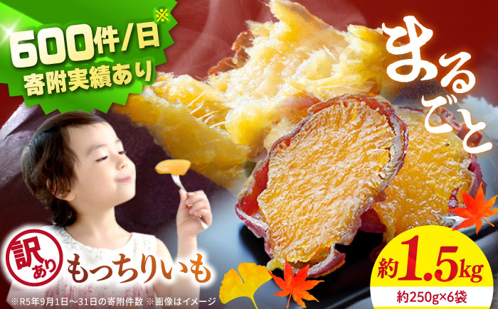 【12月より順次発送】【 訳あり 】皮付き まるごと もっちりいも 計1.5kg ＜大地のいのち＞ [CDA018] 干し芋