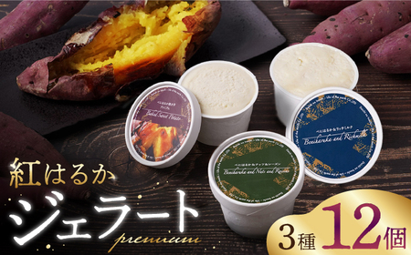 【こだわりの芋スイーツ】 紅はるか プレミアム ジェラート アソート 12個セット＜大地のいのち＞ [CDA062]
