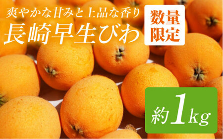 【数量限定】 びわ （長崎早生） 約1kg ＜谷添正義＞ [CDM001]