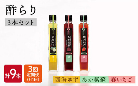 【月1回3種×3回定期便】飲む玄米酢 酢らり（ゆず・しそ・いちご）計9本＜川添酢造＞ [CDN004]