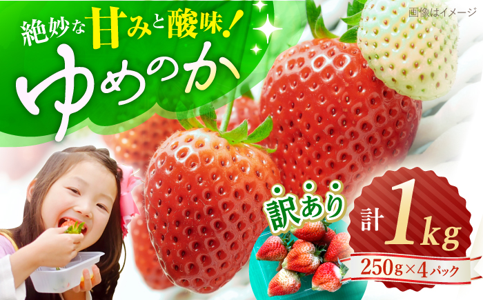 【先行予約】「訳あり」 ゆめのか（苺）計1kg（250g×4パック）＜川原農園＞ [CDR001] 長崎 西海市産 いちご 苺 イチゴ