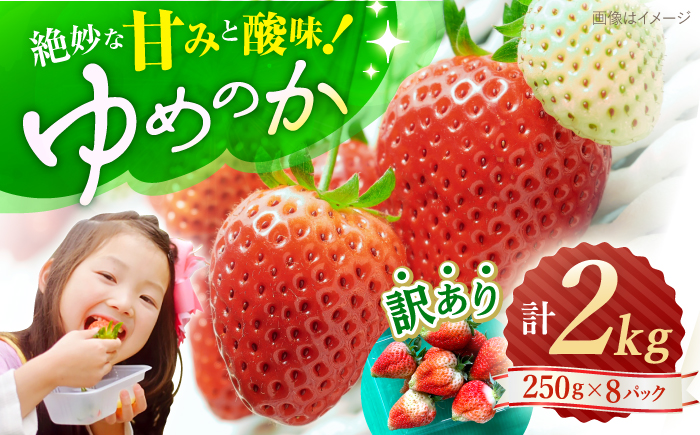 【先行予約】『訳あり』ゆめのか（苺）計2kg（250g×8パック）＜川原農園＞ [CDR005]