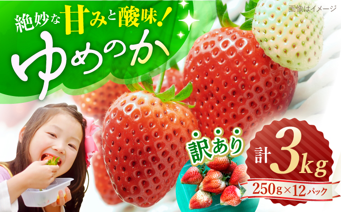 【先行予約】『訳あり』ゆめのか（苺）計3kg（250g×12パック）＜川原農園＞ [CDR006] 長崎 西海市 いちご 苺 イチゴ