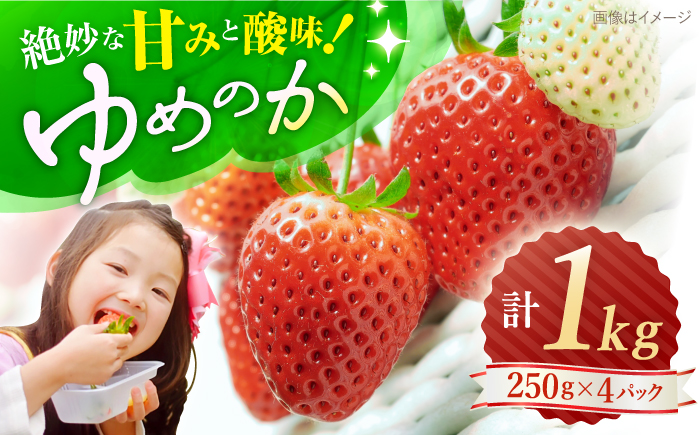 【先行予約】ゆめのか 苺 計1kg（250g×4パック）＜川原農園＞ [CDR009] 長崎 西海 いちご 苺 イチゴ 贈答 ギフト