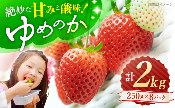 【先行予約】ゆめのか 苺 計2kg（250g×8パック）＜川原農園＞ [CDR010]  長崎 西海 いちご 苺 イチゴ 贈答 ギフト