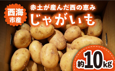 【先行予約】【2026年5月下旬より順次発送】 西海市産 じゃがいも 約10kg ＜ファームまるだ＞ [CDT002]