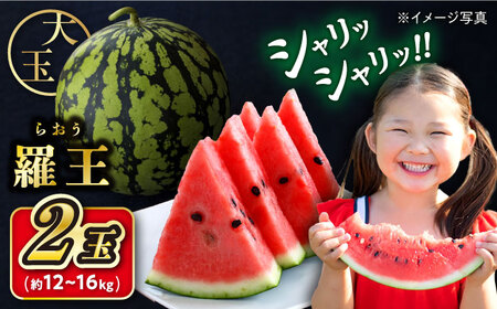 【先行予約：2026年7月上旬より配送】 スイカ 羅王 2玉（約12kg～16kg）＜ファームまるだ＞ [CDT006] 長崎 西海 スイカ すいか 羅王 大玉 贈答 ギフト