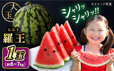 【先行予約：2026年7月上旬より配送】 スイカ 羅王 1玉（約6kg～7kg）＜ファームまるだ＞ [CDT007] 長崎 西海 スイカ すいか 羅王 大玉 贈答 ギフト 夏