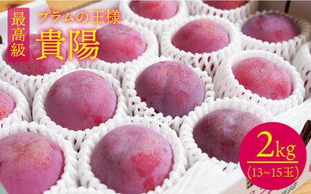 【 プラム の王様】【☆先行予約☆】 貴陽 （きよう）約2kg（13～15玉）＜竹嶋農園＞ [CEB002] すもも スモモ 桃 プラム 貴陽 果物 フルーツ