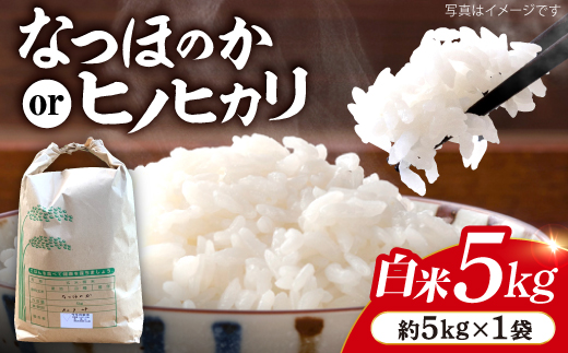 【令和7年産 新米】 白米 （ なつほのか or ヒノヒカリ ）5kg ＜夢農園 モリピー＞ [CEJ001]