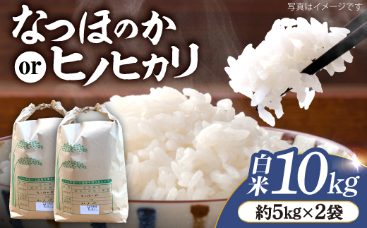 【令和7年産 新米】 白米 （ なつほのか or ヒノヒカリ ） 計10kg （5kg×2袋）＜夢農園 モリピー＞ [CEJ002]