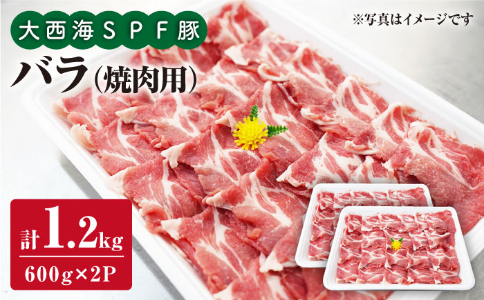 大西海SPF豚 バラ（焼肉用）計1.2kg（約600g×2パック） 訳あり ＜大西海ファーム＞ [CEK031] 豚肉
