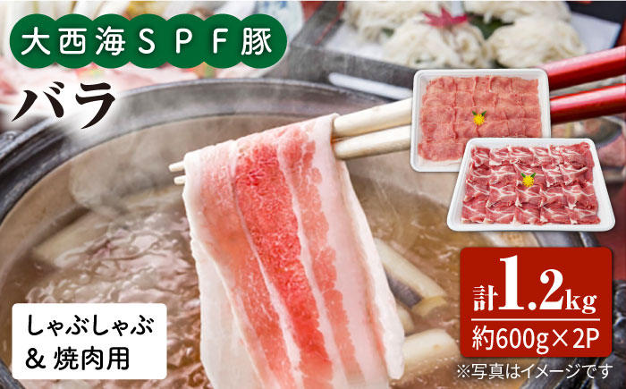 大西海SPF豚 バラ（焼肉＆しゃぶしゃぶ用）計1.2kg（約600g×2パック） 訳あり ＜大西海ファーム＞ [CEK033] 豚肉