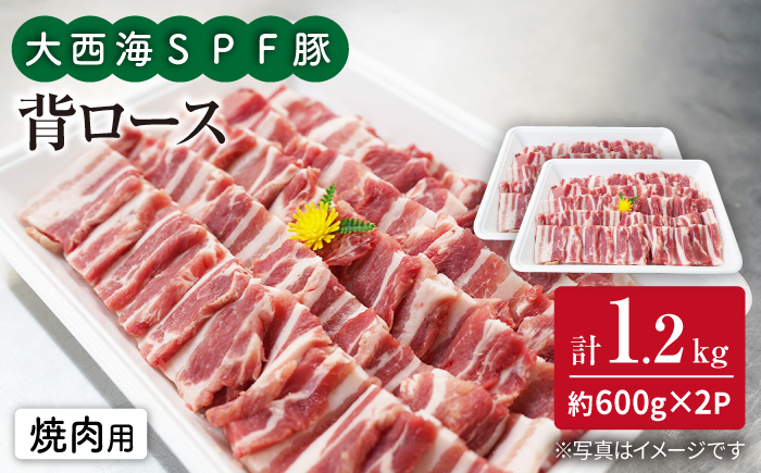 大西海SPF豚 背ロース（焼肉用）計1.2kg（約600g×2パック） 訳あり ＜大西海ファーム＞ [CEK038] 豚肉