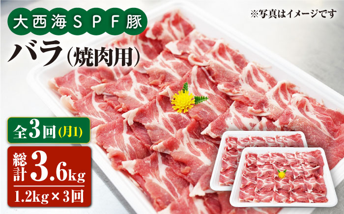 【3回定期便】大西海SPF豚 バラ（焼肉用）計1.2kg 訳あり ＜大西海ファーム＞ [CEK082] 豚肉