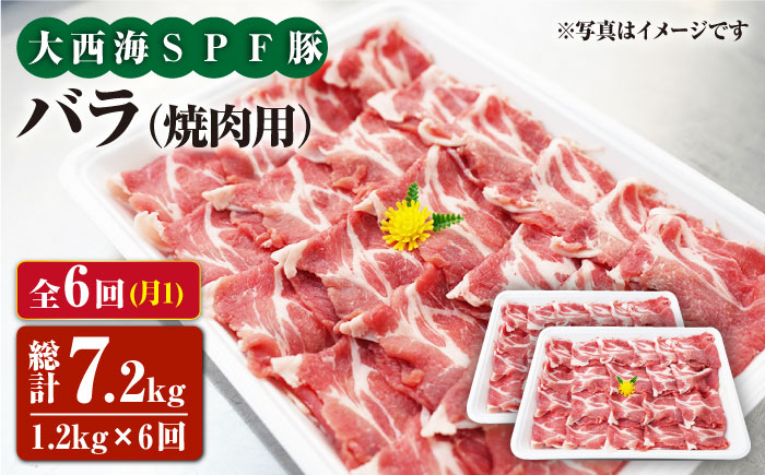 【6回定期便】大西海SPF豚 バラ（焼肉用）計1.2kg 訳あり ＜大西海ファーム [CEK083] 豚肉