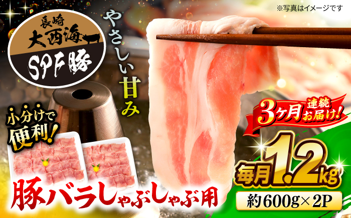 【3回定期便】大西海SPF豚 バラ（しゃぶしゃぶ用）計1.2kg 訳あり ＜大西海ファーム＞ [CEK084] 豚肉