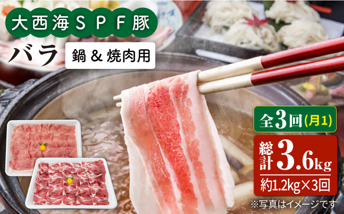 【3回定期便】大西海SPF豚 バラ（焼肉＆しゃぶしゃぶ用）計1.2kg 訳あり ＜大西海ファーム＞ [CEK086] 豚肉