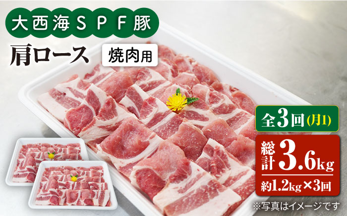 【3回定期便】大西海SPF豚 肩ロース（焼肉用）計1.2kg 訳あり ＜大西海ファーム＞ [CEK090] 豚肉