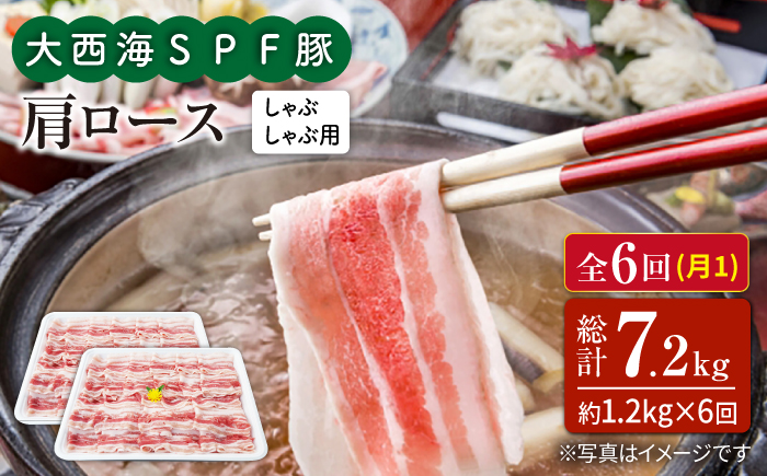 【6回定期便】大西海SPF豚 肩ロース（しゃぶしゃぶ用）計1.2kg 訳あり ＜大西海ファーム＞ [CEK093] 豚肉