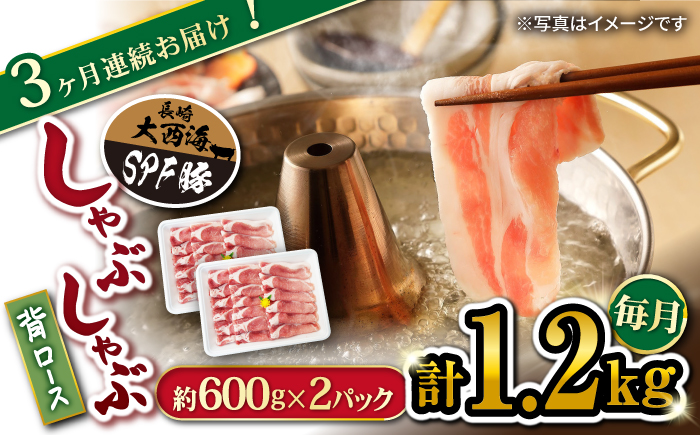 【3回定期便】大西海SPF豚 背ロース（しゃぶしゃぶ用）計1.2kg 訳あり ＜大西海ファーム＞ [CEK094] 豚肉