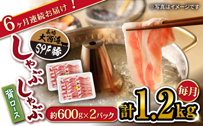 【6回定期便】大西海SPF豚 背ロース（しゃぶしゃぶ用）計1.2kg 訳あり ＜大西海ファーム＞ [CEK095] 豚肉