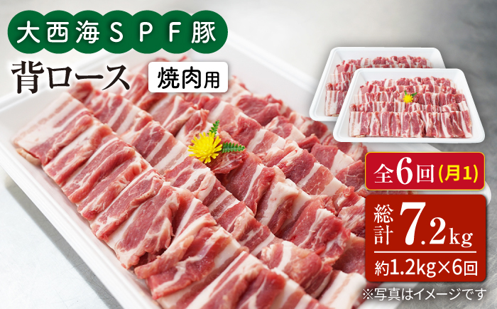 【6回定期便】大西海SPF豚 背ロース（焼肉用）計1.2kg 訳あり ＜大西海ファーム＞ [CEK097] 豚肉