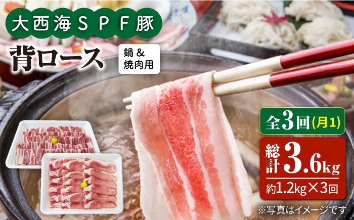 【3回定期便】大西海SPF豚 背ロース（焼肉＆しゃぶしゃぶ用）計1.2kg 訳あり ＜大西海ファーム＞ [CEK098] 豚肉