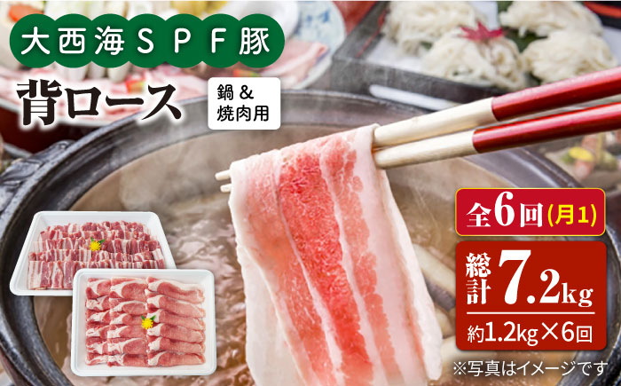 【6回定期便】大西海SPF豚 背ロース（焼肉＆しゃぶしゃぶ用）計1.2kg 訳あり ＜大西海ファーム＞ [CEK099] 豚肉
