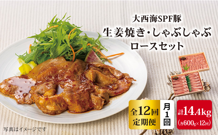 【12回定期便】大西海SPF豚 背ロース しょうが焼き用＆しゃぶしゃぶ用 計1.2kg 訳あり ＜大西海ファーム＞ [CEK101] 豚肉