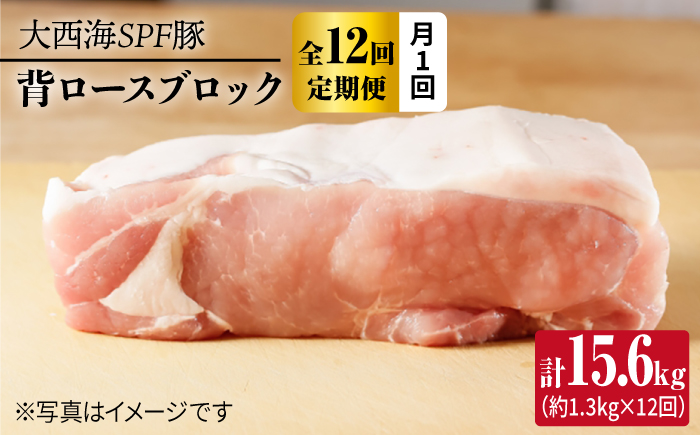 【12回定期便】大西海SPF豚 背ロースブロック 計1.3kg 訳あり ＜大西海ファーム [CEK117] 豚肉