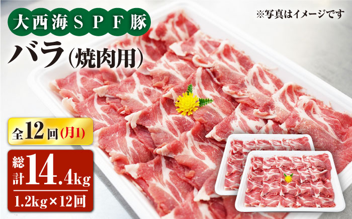 【12回定期便】大西海SPF豚 バラ（焼肉用）計1.2kg 訳あり ＜大西海ファーム [CEK121] 豚肉