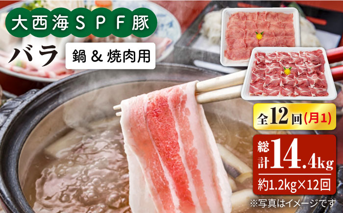 【12回定期便】大西海SPF豚 バラ（焼肉＆しゃぶしゃぶ用）計1.2kg 訳あり ＜大西海ファーム＞ [CEK123] 豚肉