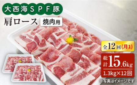 【12回定期便】大西海SPF豚 肩ロース（焼肉用）計1.2kg 訳あり ＜大西海ファーム＞ [CEK125] 豚肉