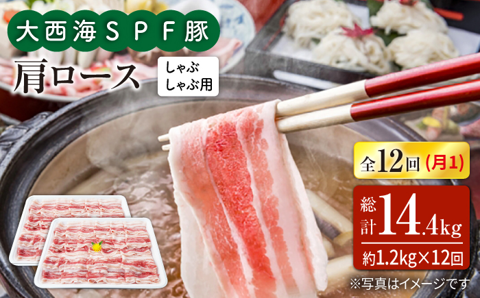 【12回定期便】大西海SPF豚 肩ロース（しゃぶしゃぶ用）計1.2kg 訳あり ＜大西海ファーム＞ [CEK126] 豚肉