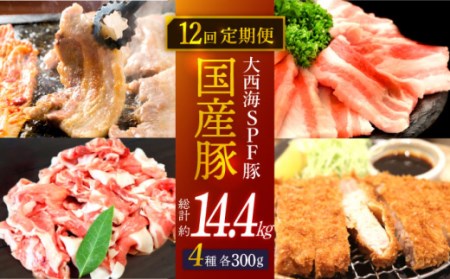 【12回定期便】【主婦の見方☆】大西海SPF豚 国産豚 4種セット 計1.2kg  ＜大西海ファーム＞ [CEK169]