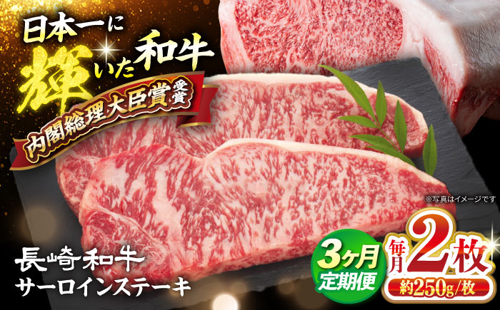 【訳あり】【3回定期便】 長崎和牛 サーロイン ステーキ 約500g（2枚） 【大西海ファーム食肉加工センター】 [CEK179]
