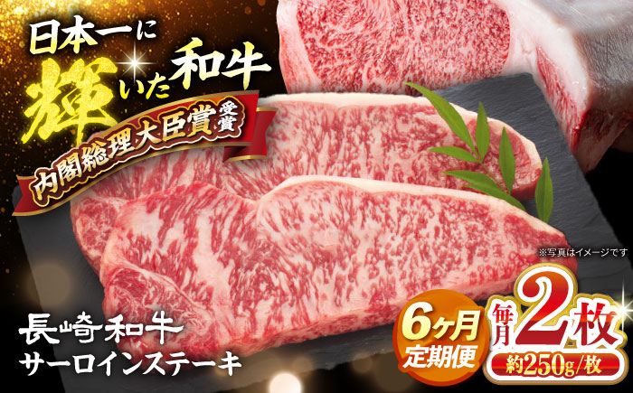 【訳あり】【6回定期便】 長崎和牛 サーロイン ステーキ 約500g（2枚） 【大西海ファーム食肉加工センター】 [CEK180]
