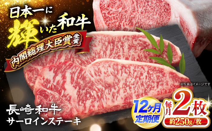【12回定期便】長崎和牛 サーロイン ステーキ 計500g（2枚） 訳あり ＜大西海ファーム食肉加工センター＞ [CEK181]