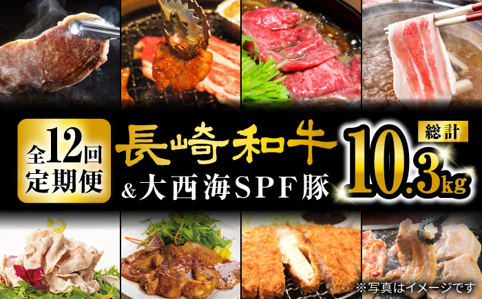 【オールスター定期便☆】【12回定期便】 長崎和牛 大西海SPF豚 よくばり定期便 訳あり ＜大西海ファーム＞ [CEK186] 豚肉