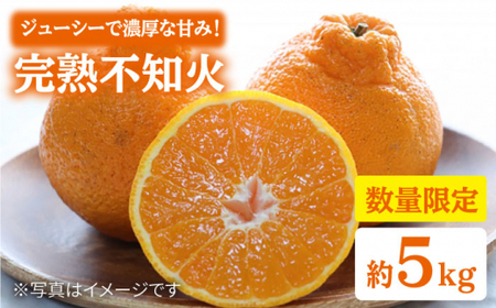 【3月下旬より発送開始】【贈答用にも♪】屋根かけ完熟 不知火 約5kg＜中尾果樹園＞ [CEL003] みかん