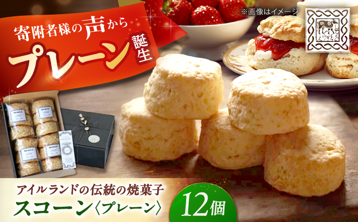 【素朴ながらも奥深い味わい】 プレーンスコーン 12個入り [CEM009]