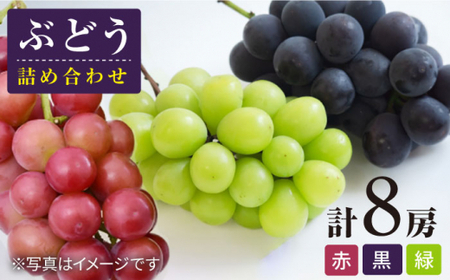 【数量限定】ぶどう4種詰め合わせ 約5キロ（8房）＜岡本　満博＞ [CEN008]