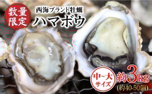 【数量限定】西海ブランド牡蠣 「ハマボウ」 約3kg（40～50個）（中～大サイズ）＜ハマフジ水産＞ [CES002]