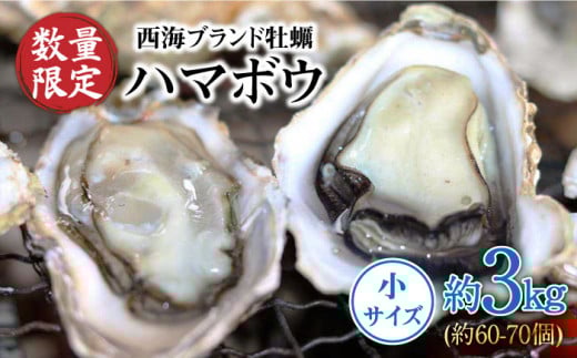 【数量限定】西海ブランド牡蠣 「ハマボウ」 約3kg（60～70個）（小サイズ）＜ハマフジ水産＞ [CES003]