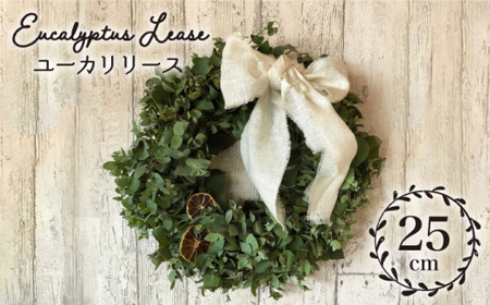 【掛けても置いてもかわいい】ユーカリリース＜Pearl Bay Caf'e & Flowers [CEW004]