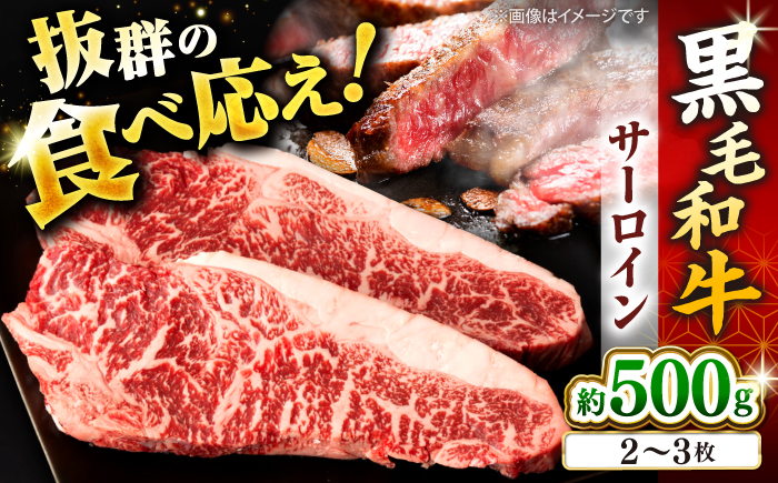 黒毛和牛 サーロイン ステーキ  計500g（2～3枚） ＜宮本畜産＞ [CFA025]