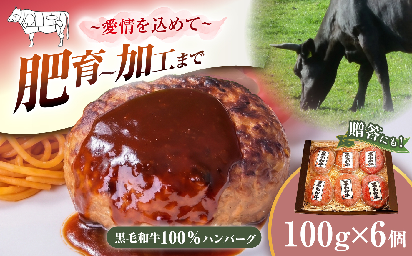 黒毛和牛100% ハンバーグ 100g×6個 ＜ミクリヤ畜産＞ [CFD025]