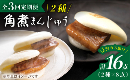【3回定期便】【春の角煮まん祭】角煮まんじゅう8個＆大とろ角煮まんじゅう8個×3回定期便＜岩崎本舗＞ [CFE032]